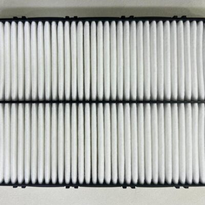 Air Filter Kia Carnival