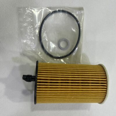 Oil Filter Kia Carnival